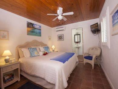 Caribbean Vacation Villa Three Bedrooms Sleeps 6 Guests